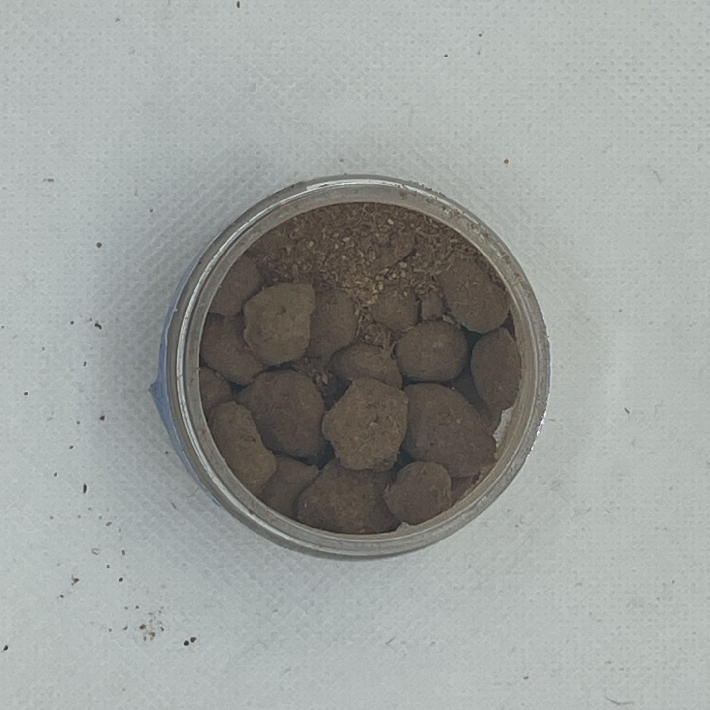 Seed of a thousand diseases