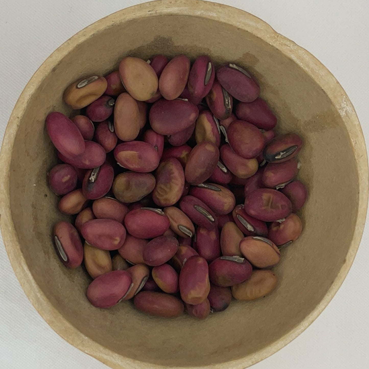 Red bean brings good luck