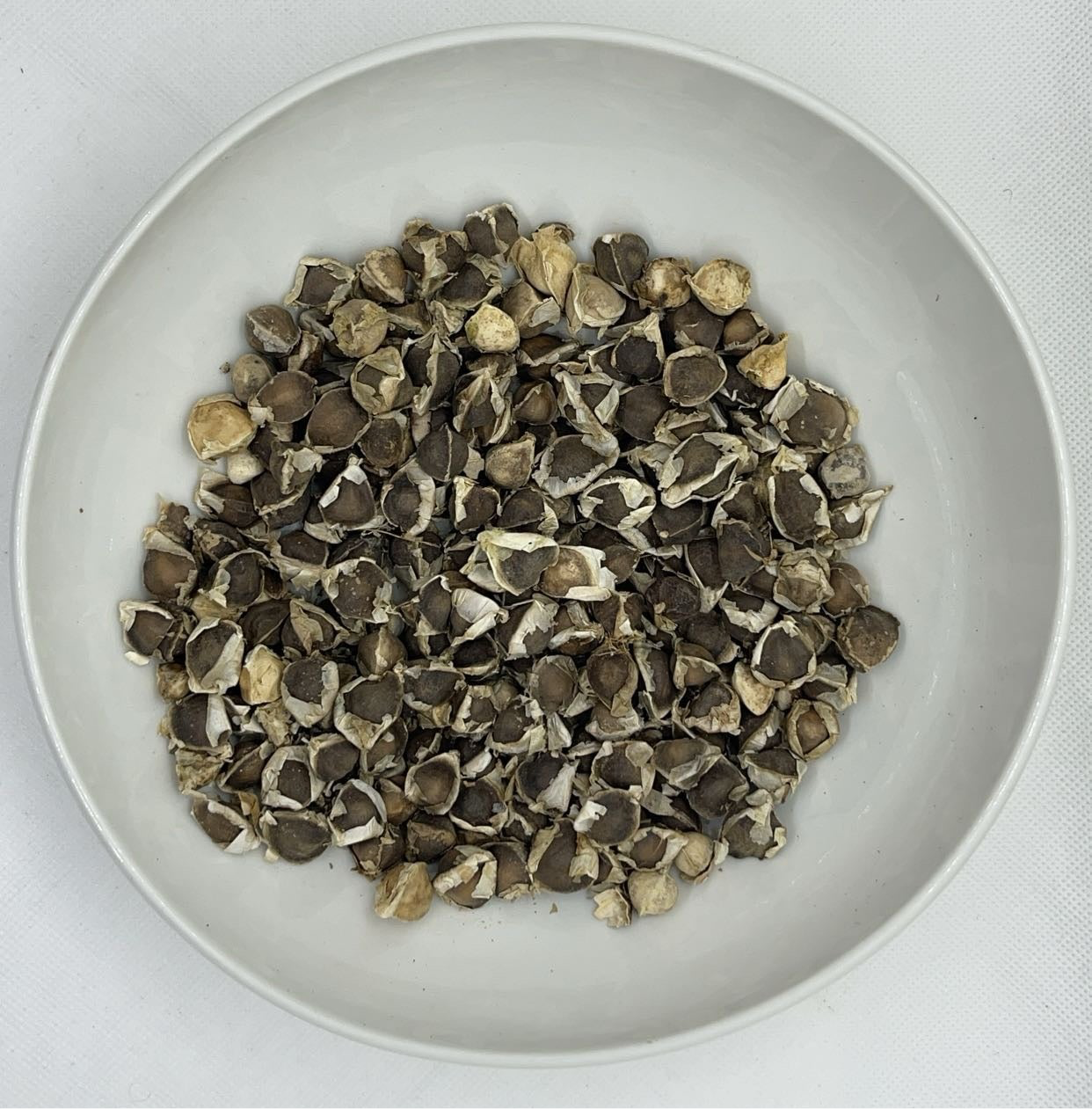 Moringa seed