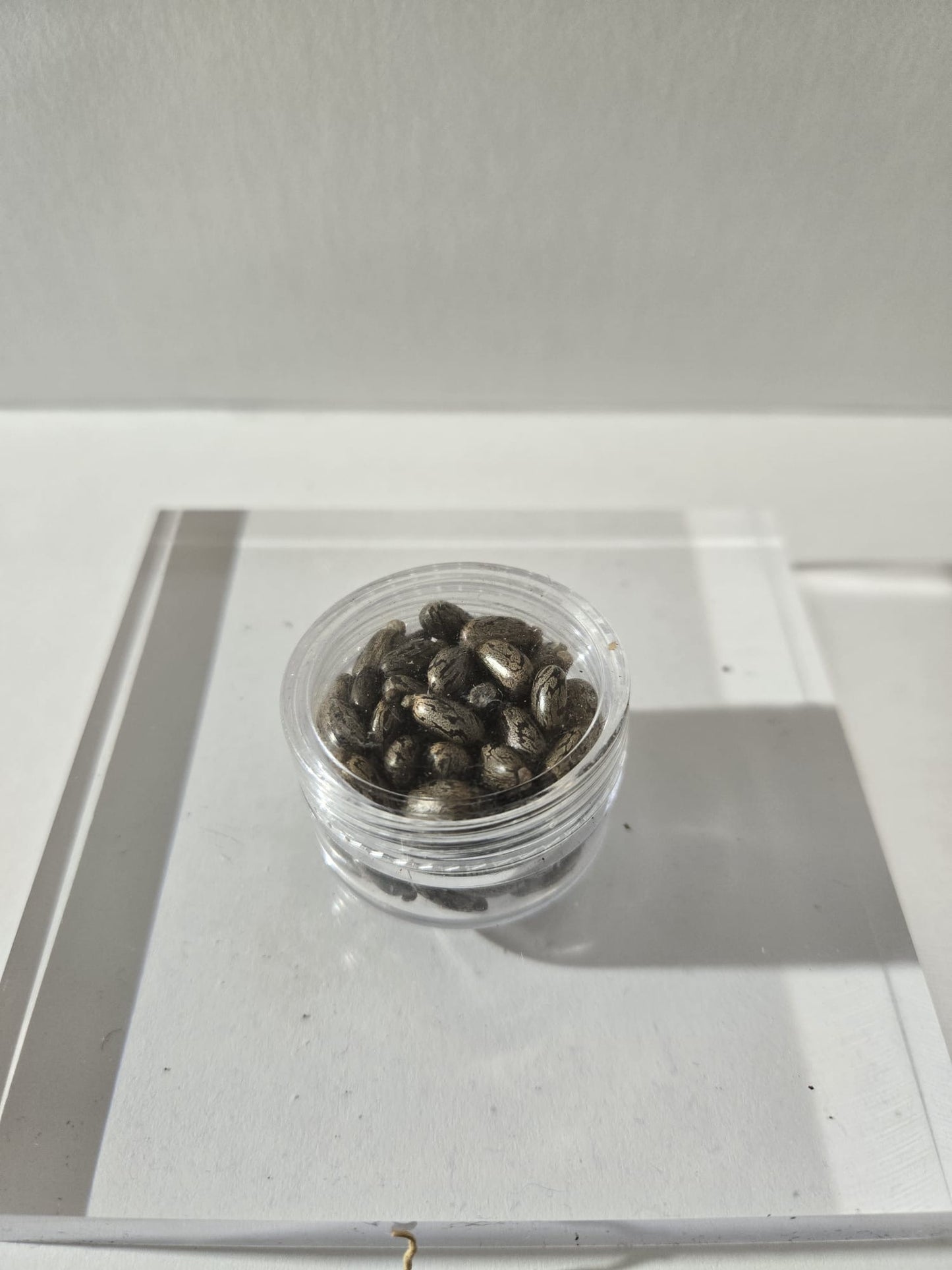 AFRICAN PILL