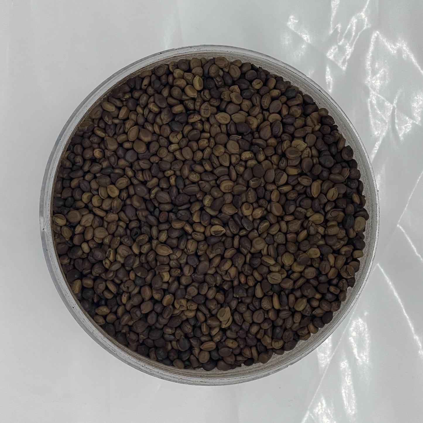 KINKELIBA SEED
