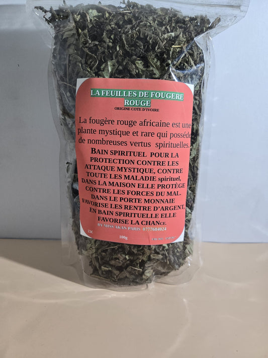 Feuille de fougères rouge