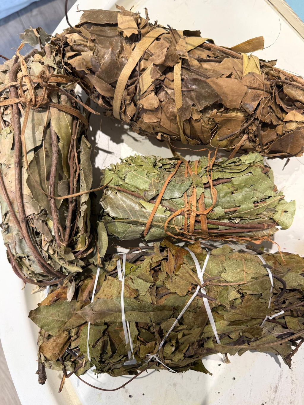 MÉLANGE DE PLANTES ATTIRANCE