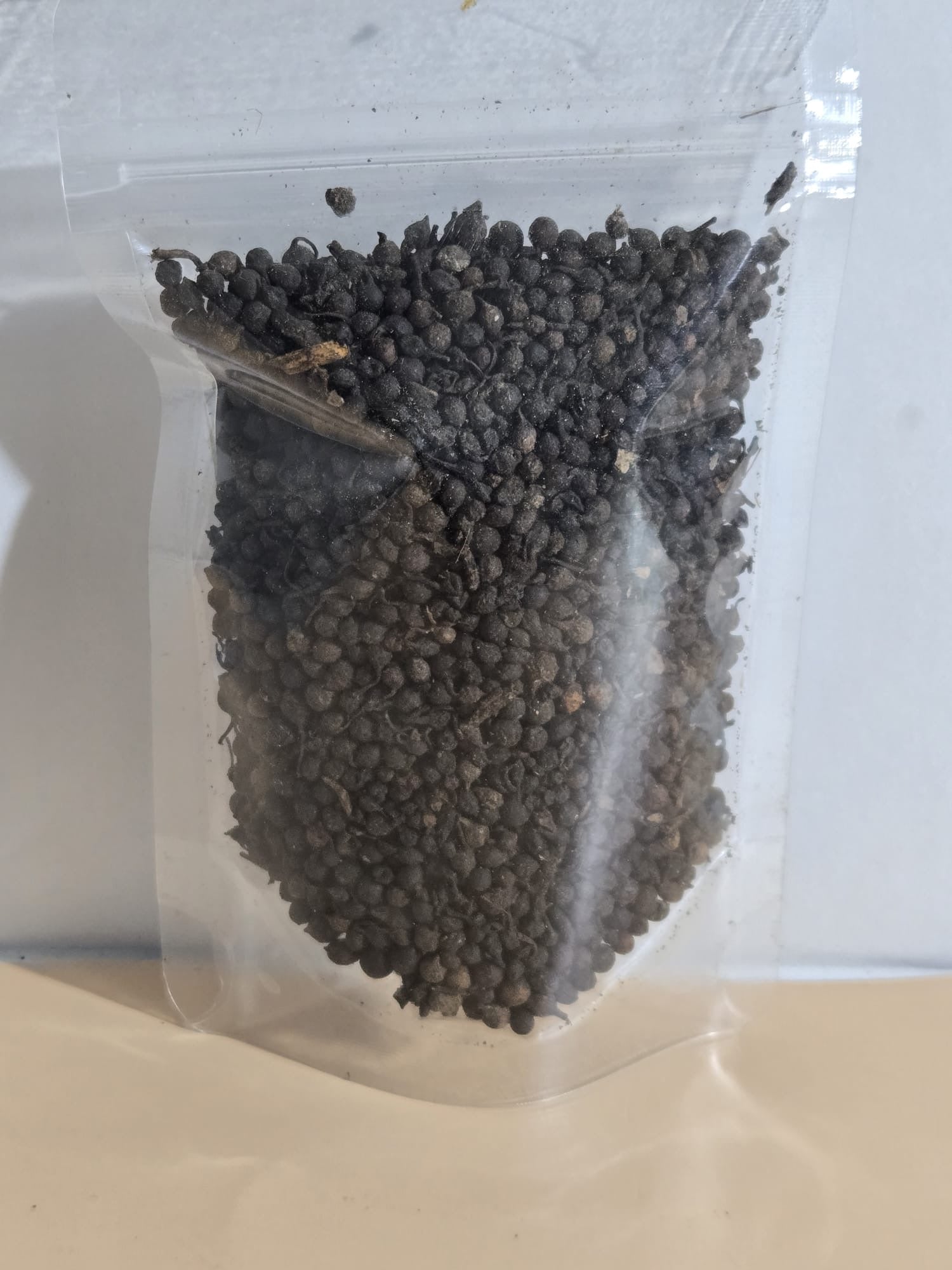 Tailed pepper