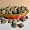 GORON TULA FRUIT