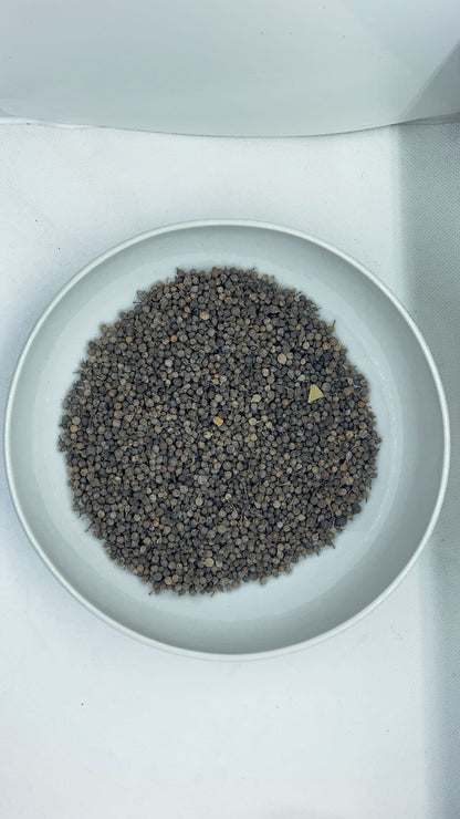 Tailed pepper
