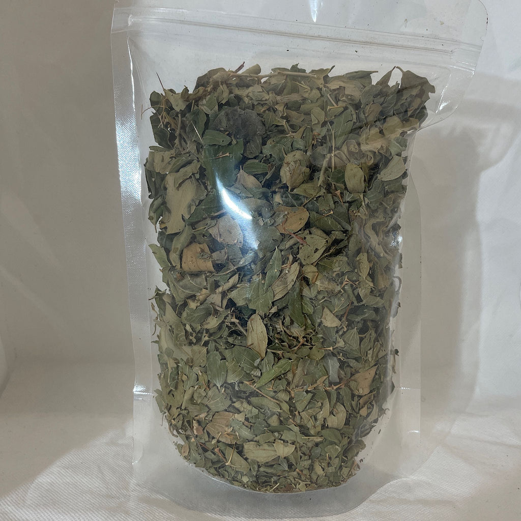 Jujube leaf (SIDR)