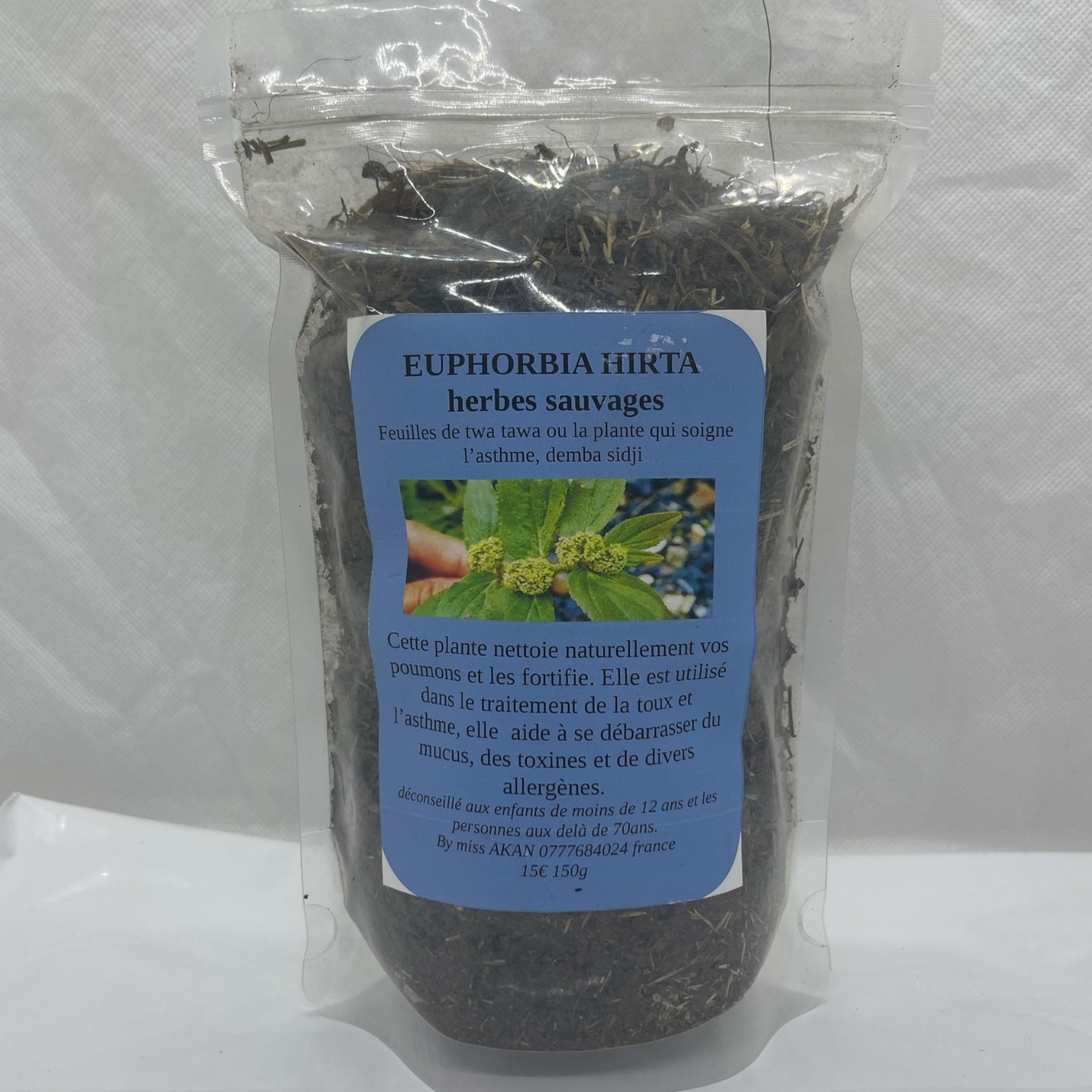 EUPHORBIA HIRTA

herbes sauvages