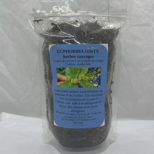 EUPHORBIA HIRTA

herbes sauvages