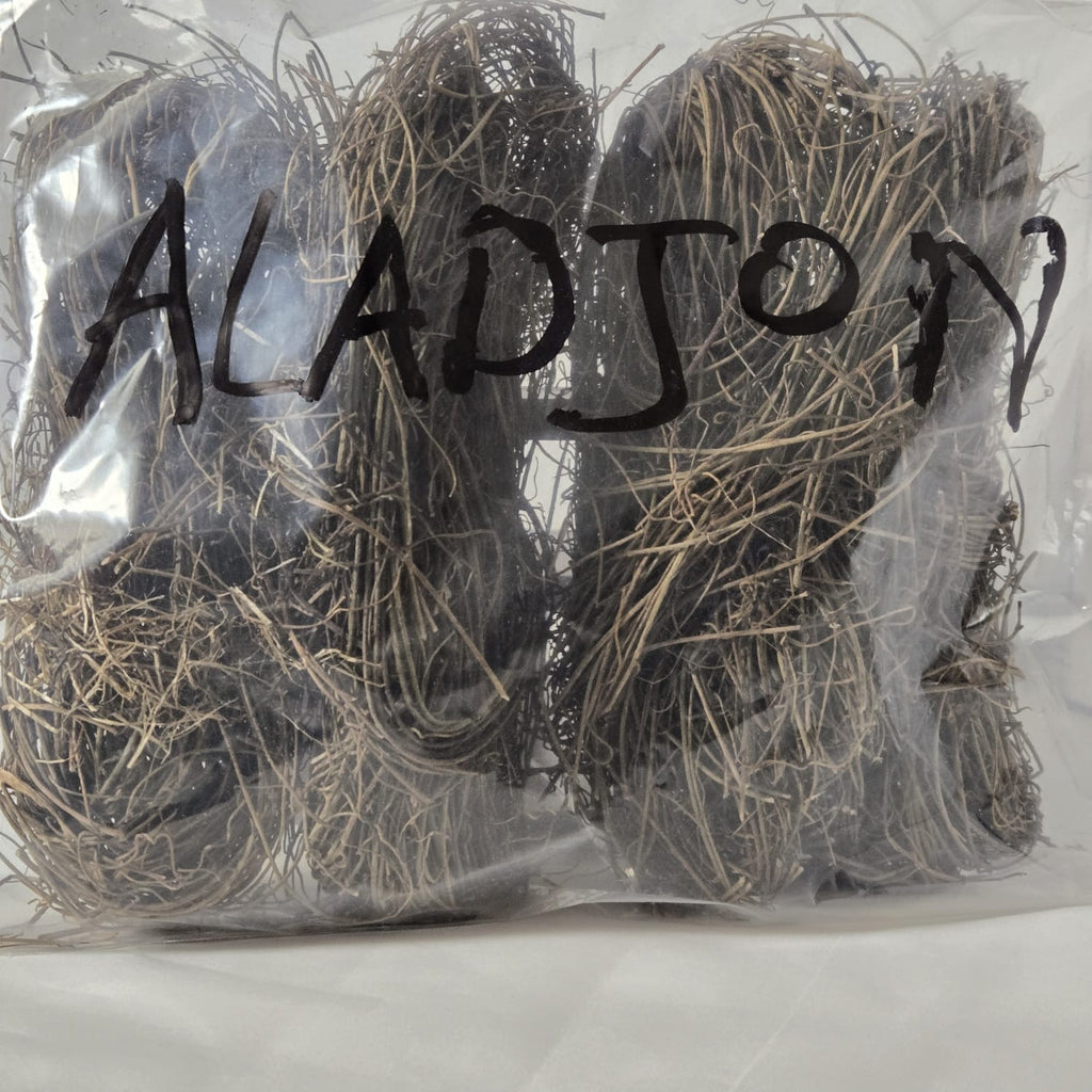 La plante Aladjon