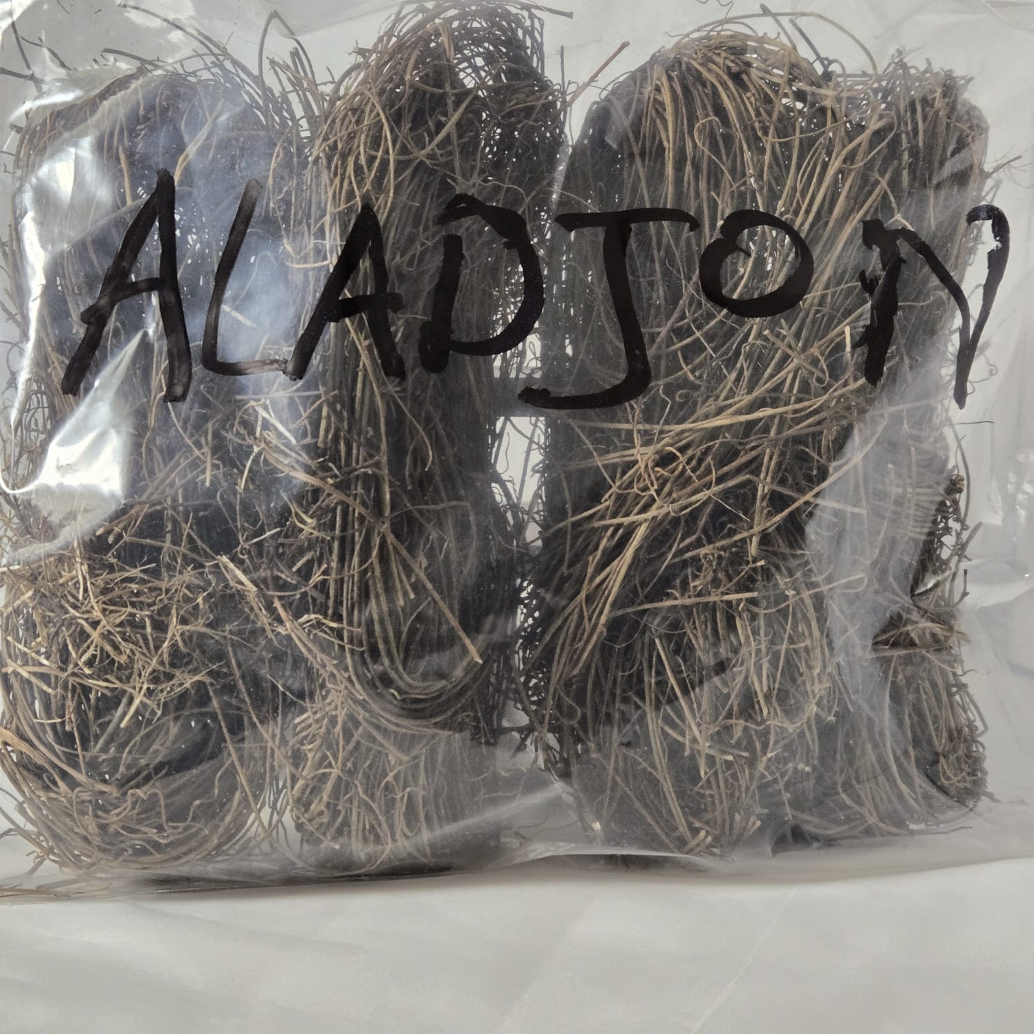 La plante Aladjon