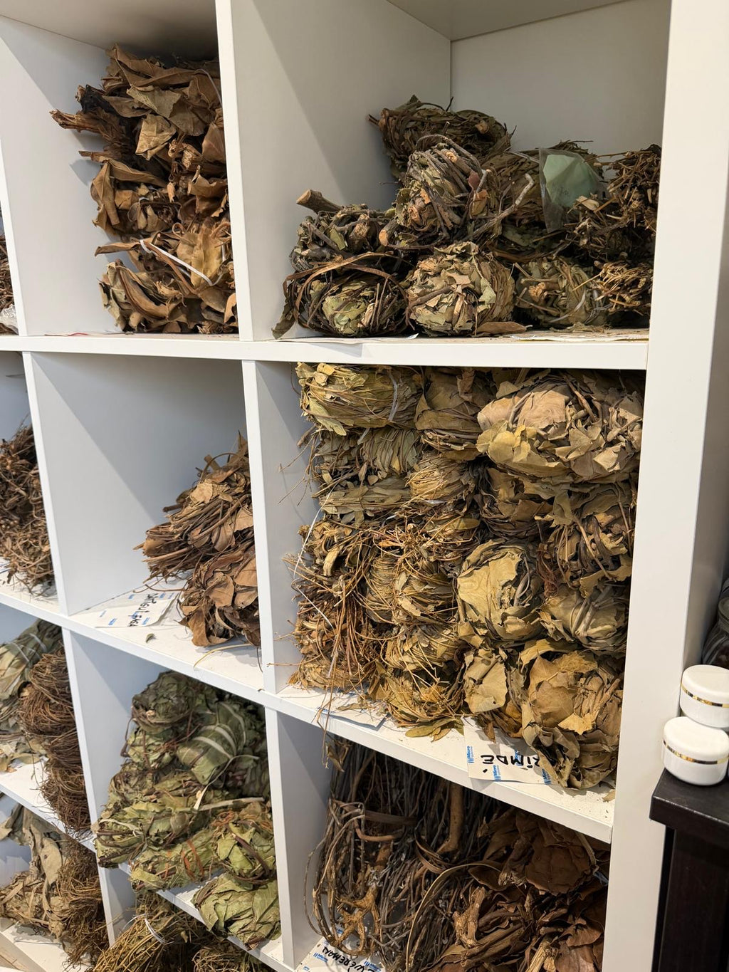 MÉLANGE DE PLANTES ATTIRANCE